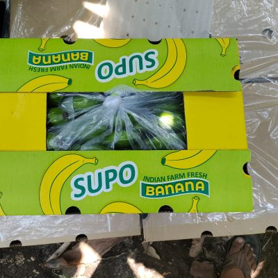 WhatsApp Image 2024-06-11 at 1.07.11 PM (1)