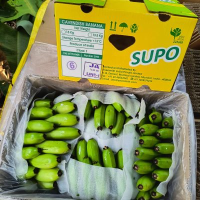 WhatsApp Image 2024-06-11 at 1.07.12 PM (1)