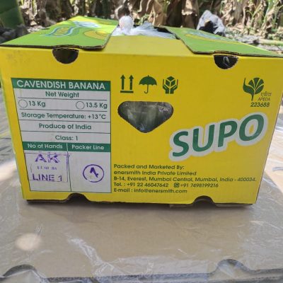 WhatsApp Image 2024-06-11 at 1.07.12 PM